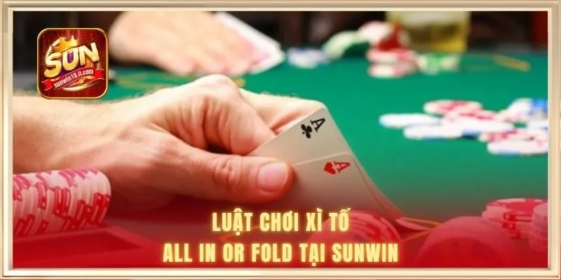 Luật chơi Xì Tố all in or fold tại Sunwin 